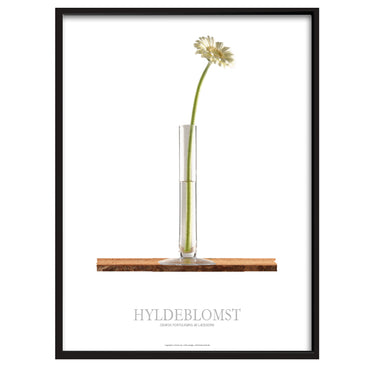 Hyldeblomst - Grafisk fortolkning af læskedrik