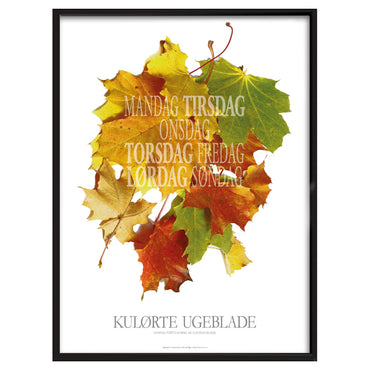 Kulørte ugeblade - Grafisk fortolkning af sladder-blade