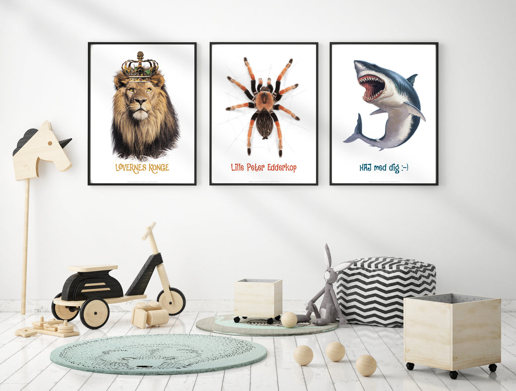 Sæt af Haj, Løve og Edderkop