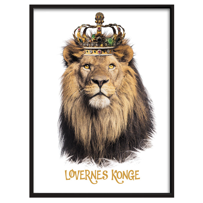 Sæt af Haj, Løve og Edderkop