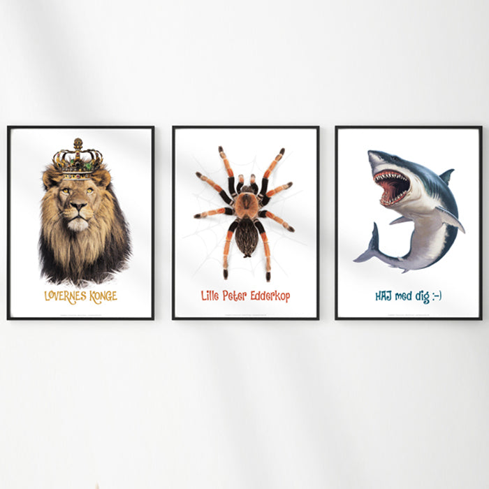 Sæt af Haj, Løve og Edderkop