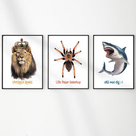 Sæt af Haj, Løve og Edderkop